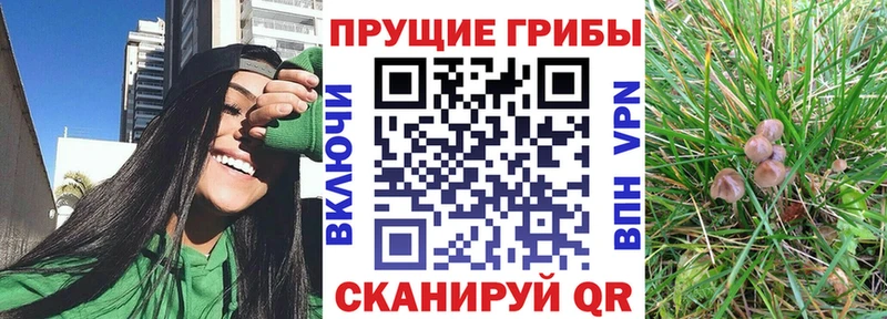 mega ONION хочу наркоту Борисоглебск Галлюциногенные грибы мухоморы