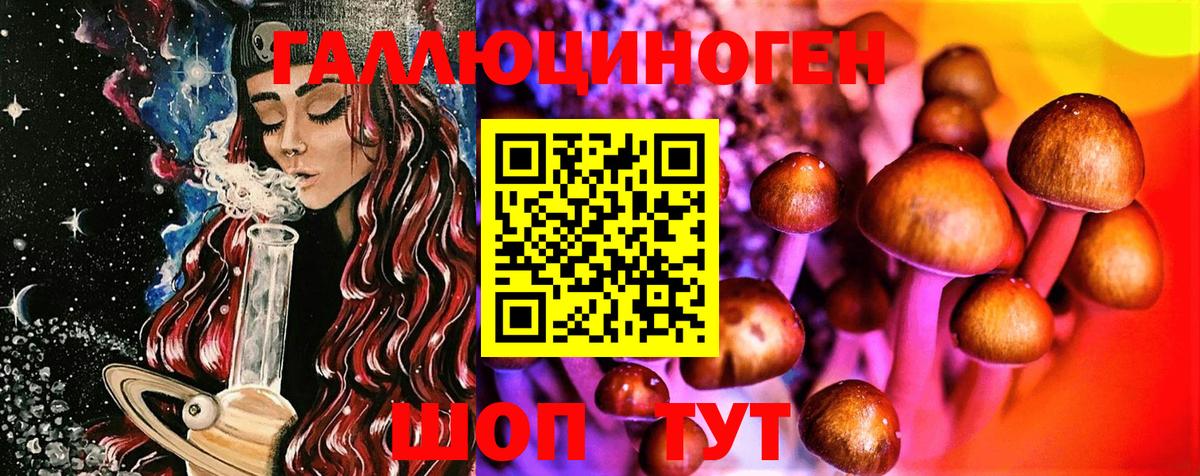 где найти   Вход с VPN  Борисоглебск  Галлюциногенные грибы Psilocybine cubensis  Галлюциногенные грибы Psilocybine cubensis 