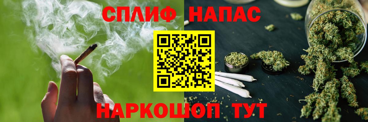 Бошки Шишки план Борисоглебск